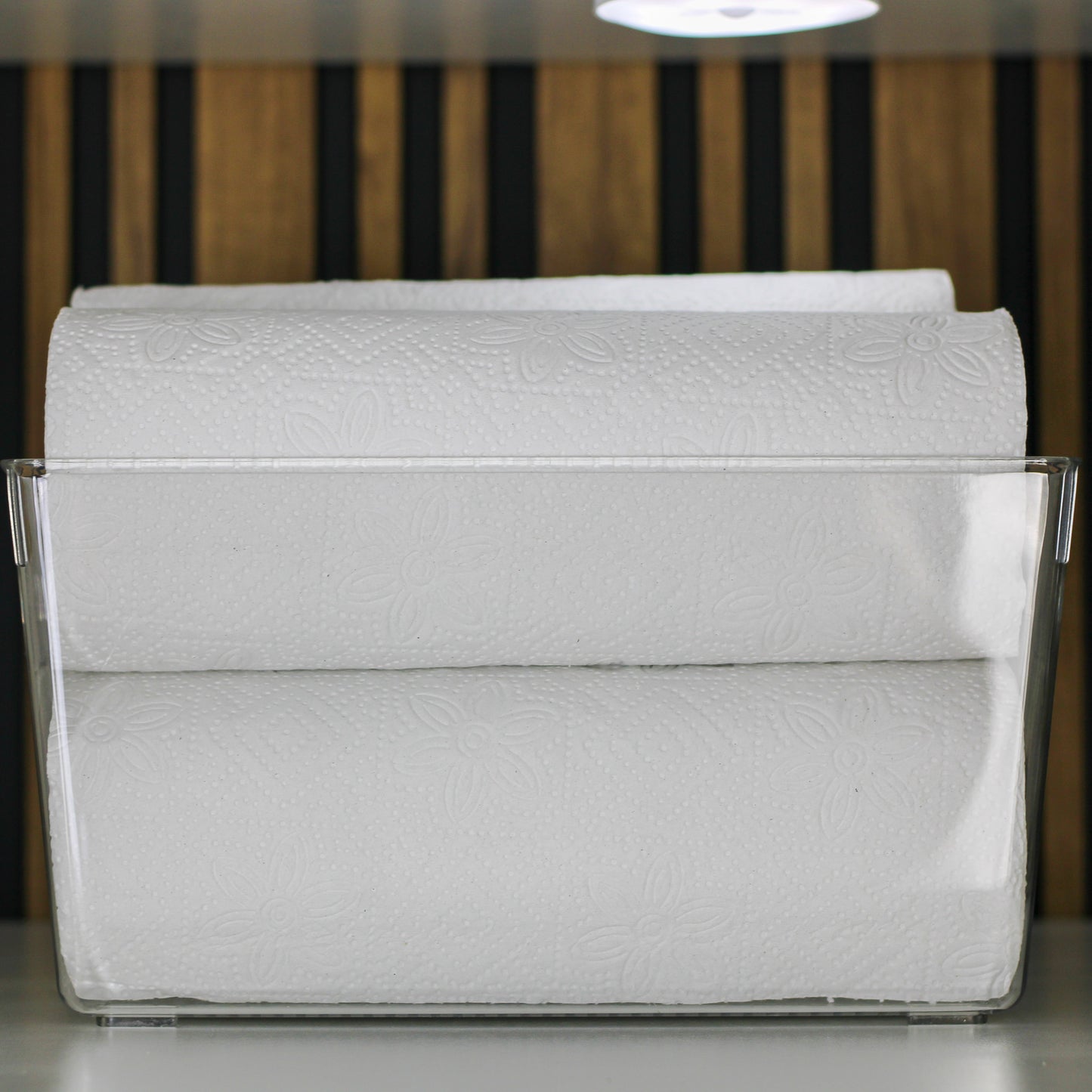 Large Clear Storage Container